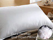 Duck Feather & Down Pillow