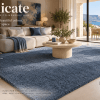 soft delicate rug presentation